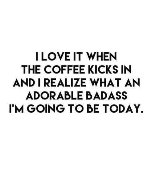 34Funnyquotesyouwillabsolutelylove007
