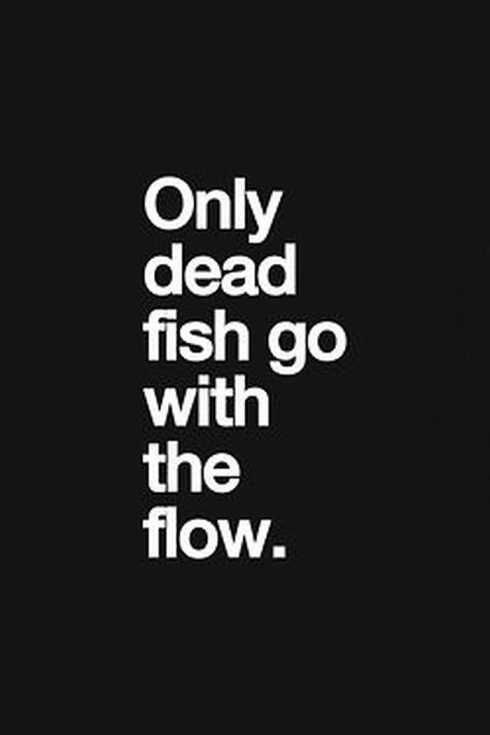 34Funnyquotesyouwillabsolutelylove010