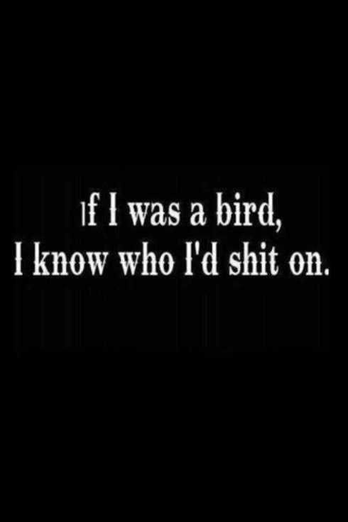 34Funnyquotesyouwillabsolutelylove029