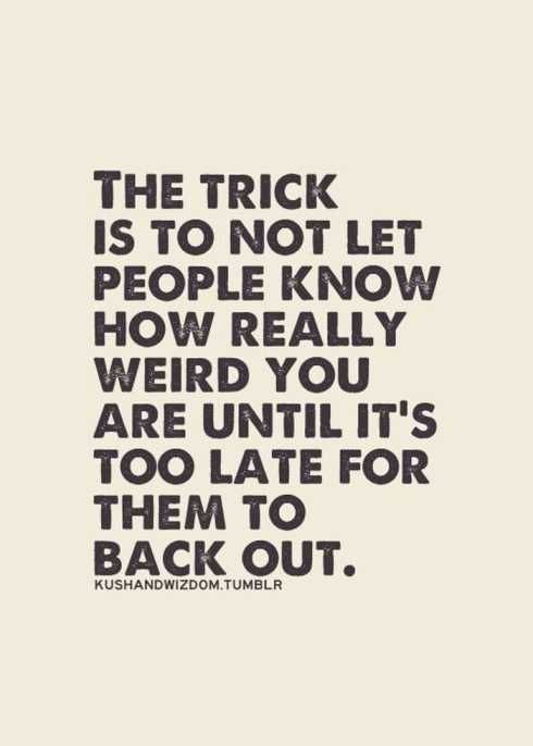 52Ofthefunniestquotesever036