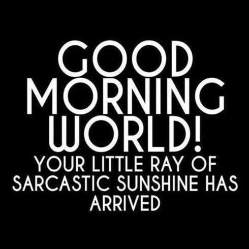 52Ofthefunniestquotesever039