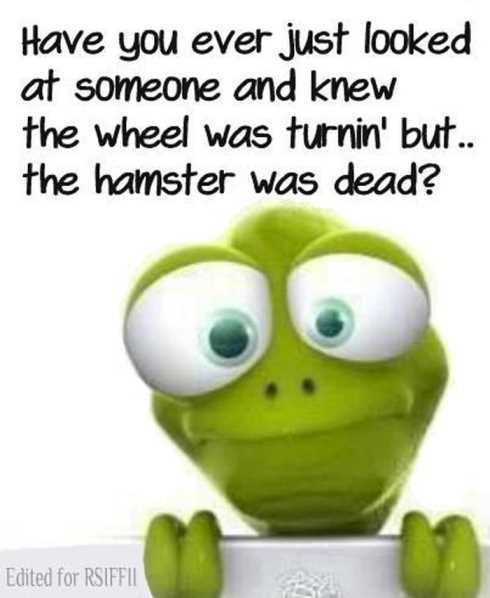 52Ofthefunniestquotesever048