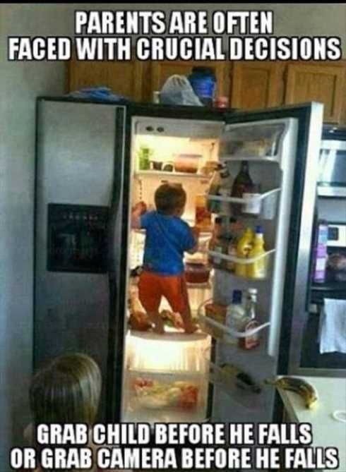 66 Funny Pictures Camera Wins