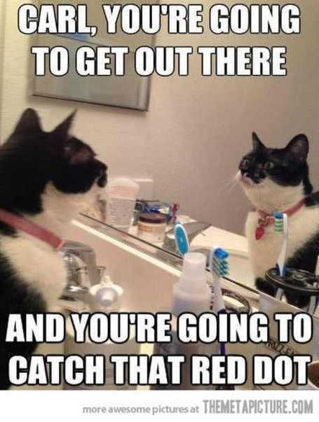 Catchasingreddotmirror