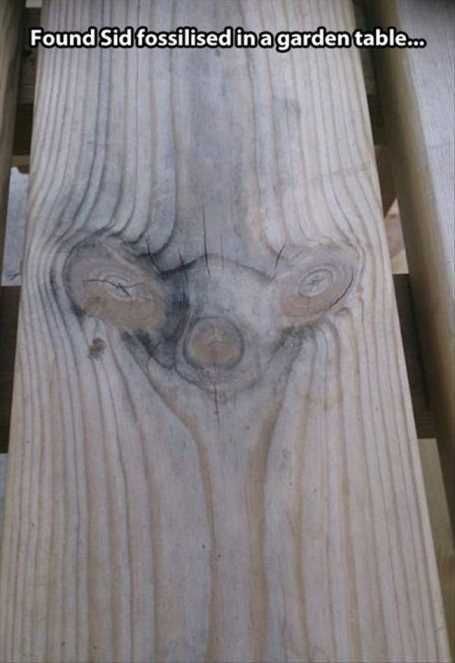 Funnylookingpeiceofwood