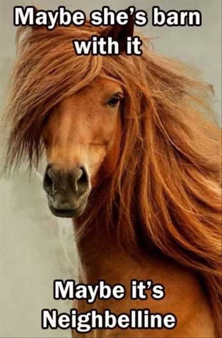 Horsehaircommercial
