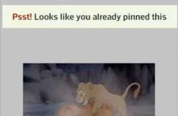 Funniest Pictures You Will See Today