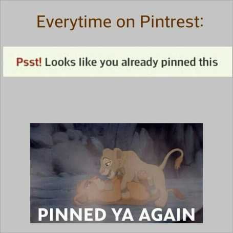 Pinnedyouagainpinterestlionking