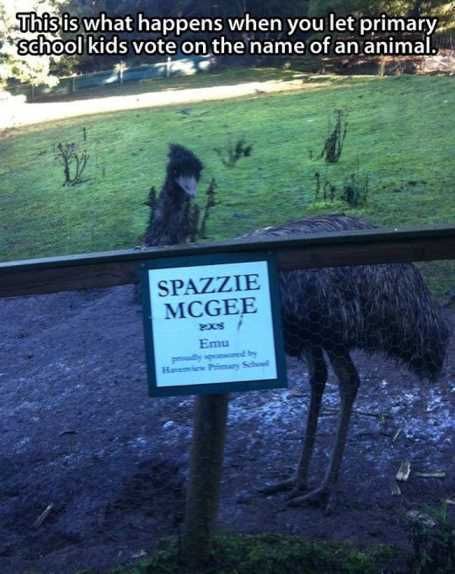 Whenkidspickthenameofanimals