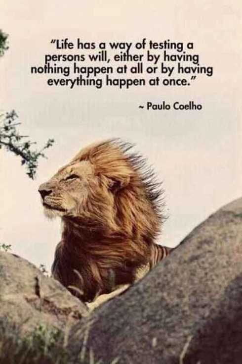 Amazing Inspirational Quotes 030