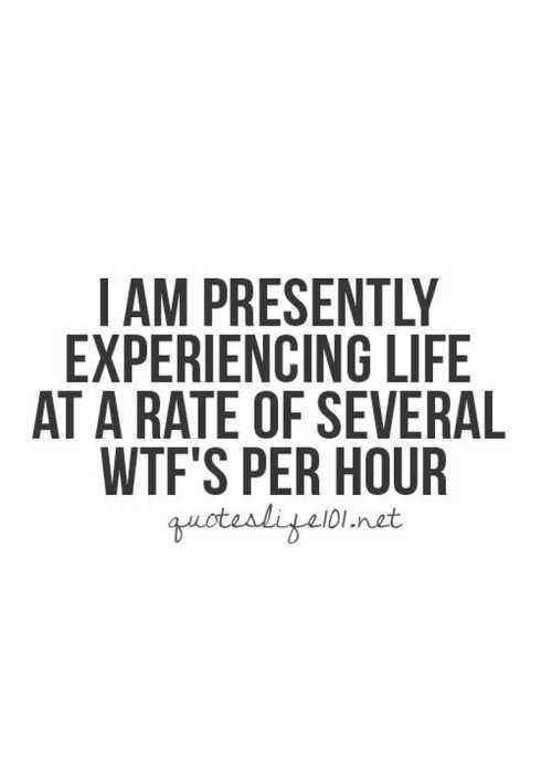 Extremely Funny Quotes 019