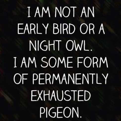 FunniestQuotesEver013