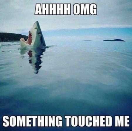 Funny Pictures Youre Going To Love 002