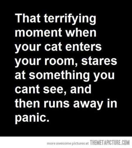 Funny Pictures Youre Going To Love 007