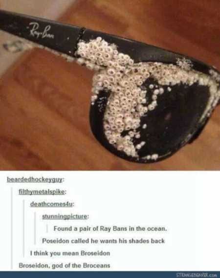 Funny Pictures Youre Going To Love 020