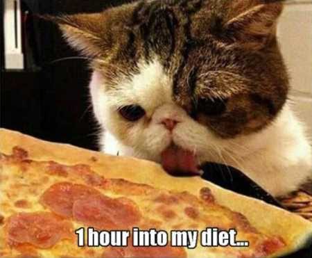 Funny Pictures Youre Going To Love 031