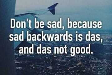 Funny Quotes Sure To Make You Smile