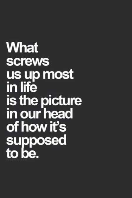 Funny Quotes Youre Going To Love 018