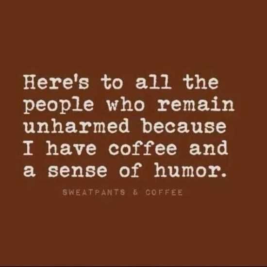 Hilariousquotesandsayings005