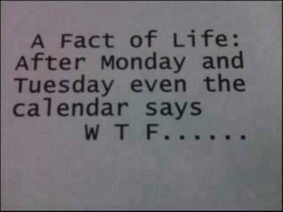 Hilariousquotesandsayings010