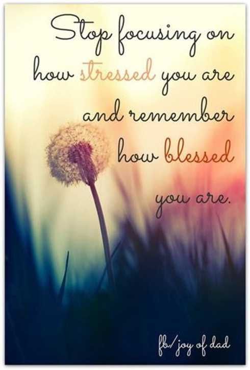 Inspirational Quotes That Will Make Your Day 031