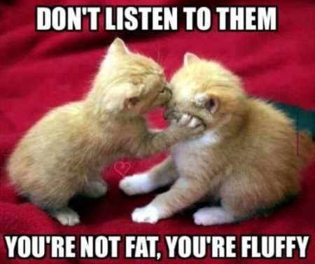 Super Funny And Cute Animal Pictures 003