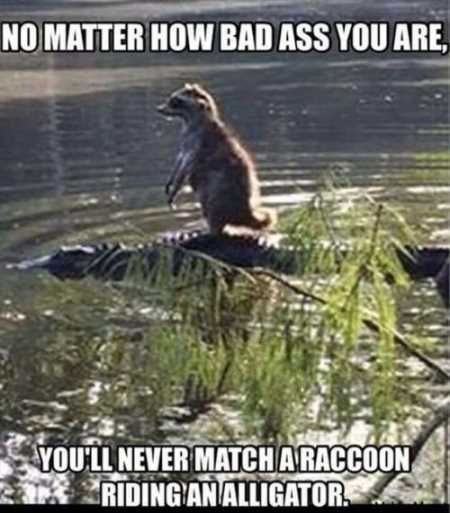 Super Funny And Cute Animal Pictures 009