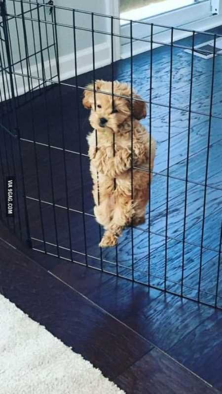 Super Funny And Cute Animal Pictures 019