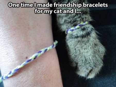 Super Funny And Cute Animal Pictures 025