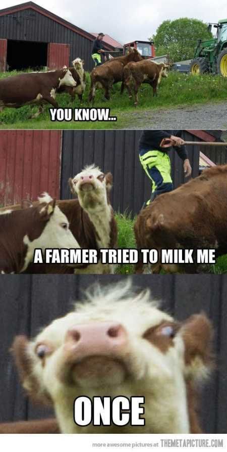 Super Funny And Cute Animal Pictures 027