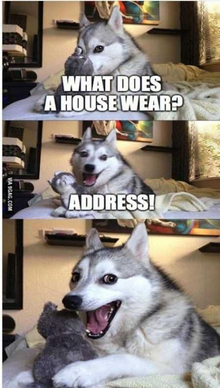Super Funny And Cute Animal Pictures 033