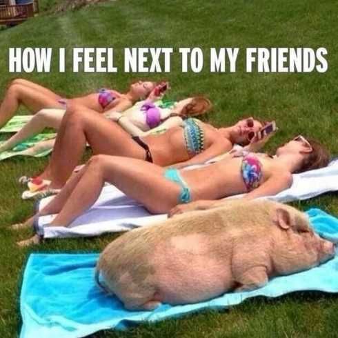 Very Funny Pictures 018
