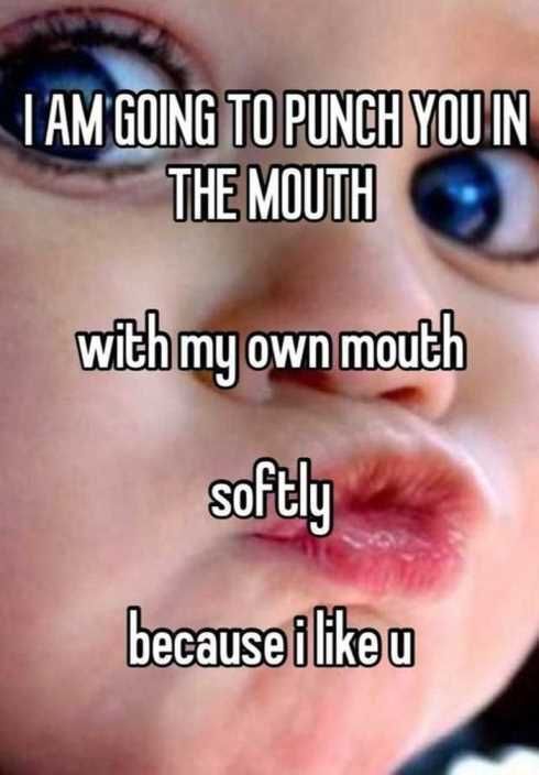Very Funny Pictures 023
