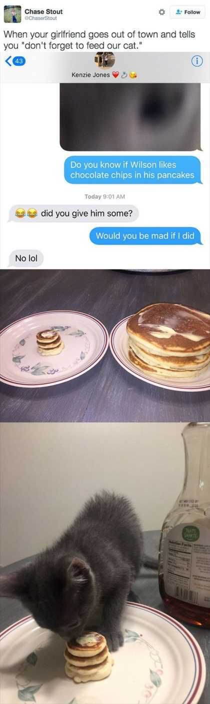Cat Eating Tiny Pancakes