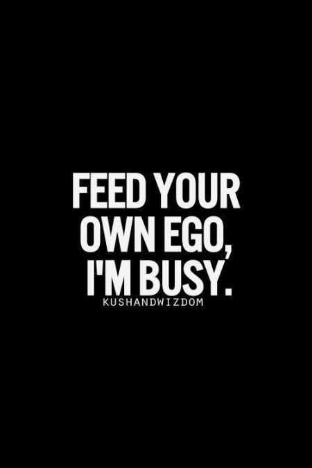 Funniest Quotes On The Internet 011