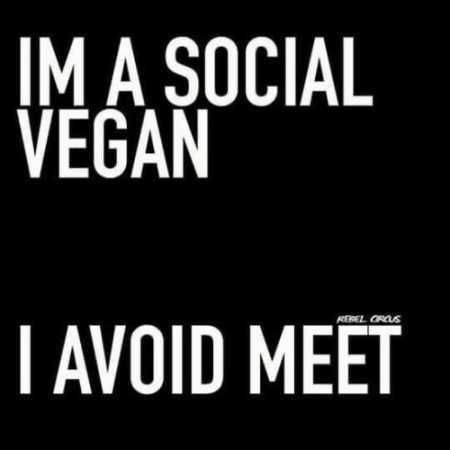 Funniest Quotes On The Internet 017