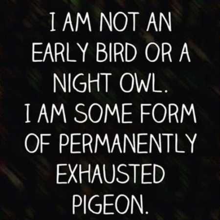Funniest Quotes On The Internet 020