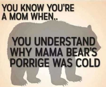 Funniest Quotes On The Internet 029