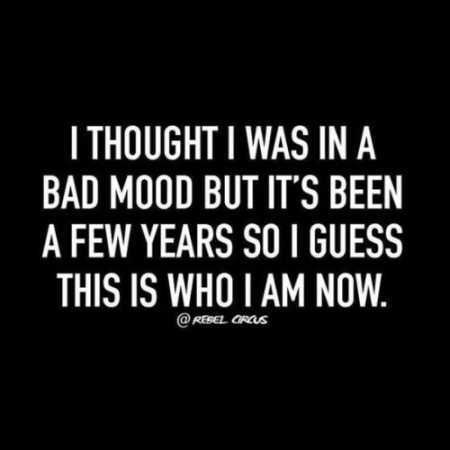 Funniest Quotes On The Internet 030