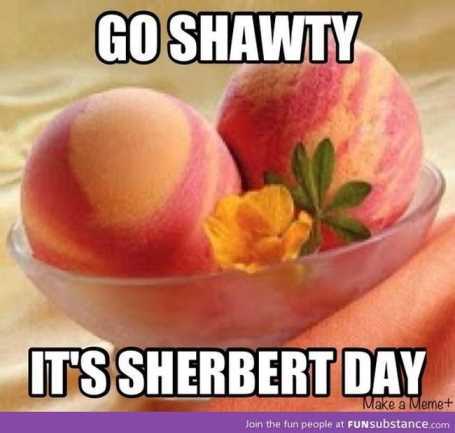 FunnySherbertPun