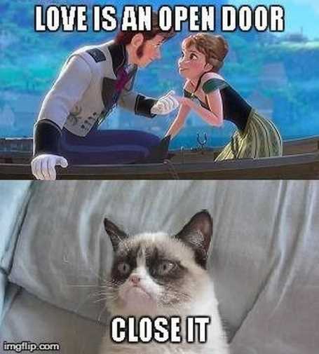 GrumpyCatDisneyLoveIsAnOpenDoor