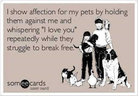 HowISowMyAffectionForMyPets