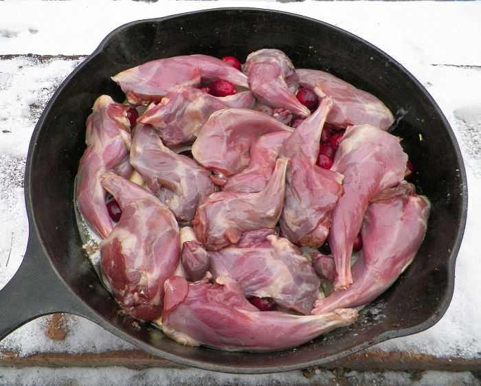 SquirrelInSkillet