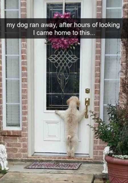 Absolutely Hilarious Animal Pictures 016