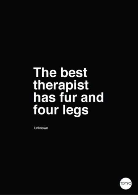 Extremely Funny Quotes 001