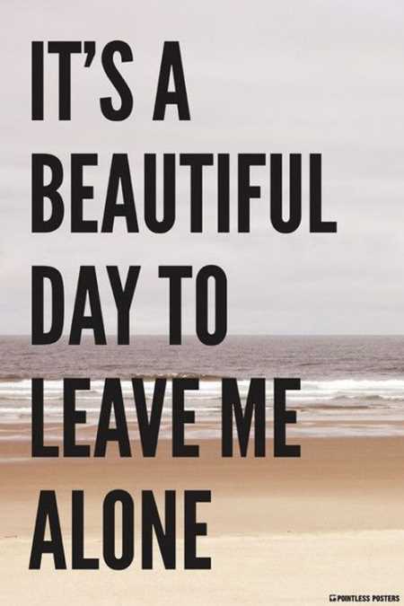 Extremely Funny Quotes 008