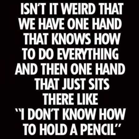 Extremely Funny Quotes 009