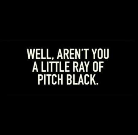 Extremely Funny Quotes 019