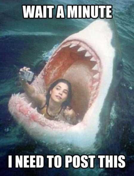Funny Animals Youre Sure To Love 017