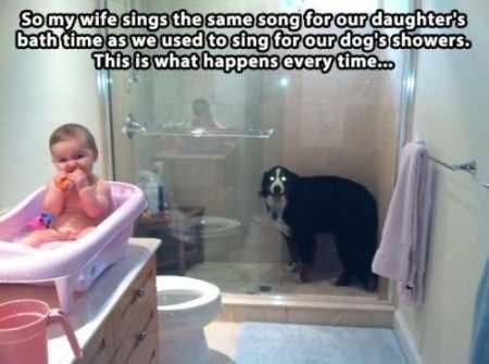 Funny Animals Youre Sure To Love 029